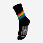 Havaianas Socks Pride image number null