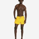 Havaianas Boardshorts New Stripes Exp image number null