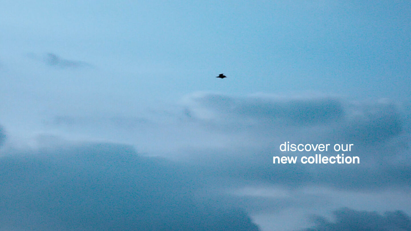 Image Video Placeholder