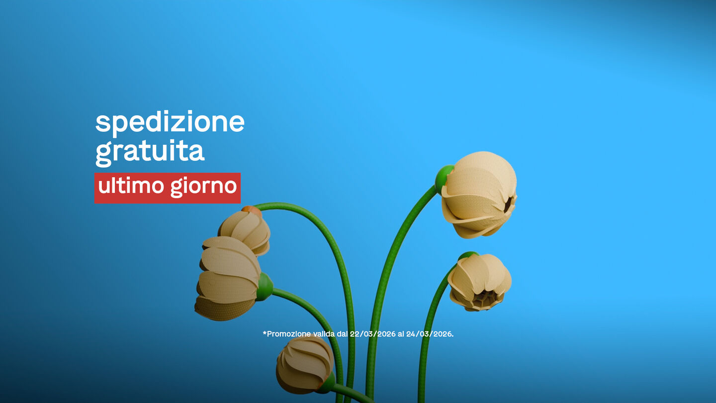 Image Video Placeholder