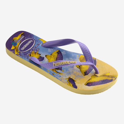 Havaianas Conservation International