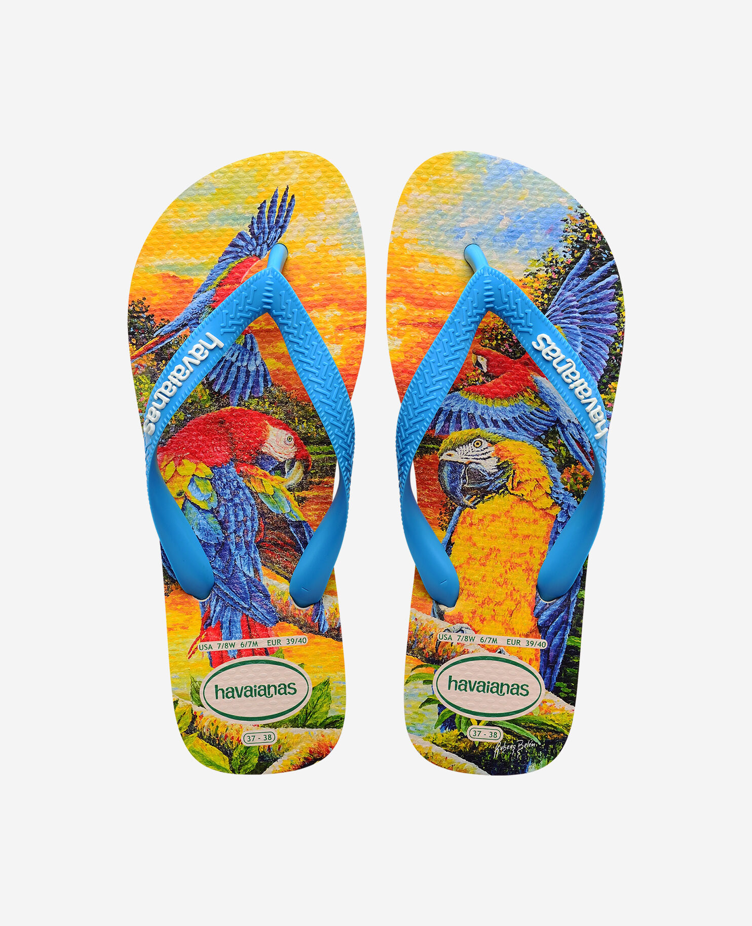 Havaianas BEI in Flip Flops Havaianas