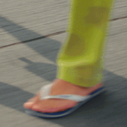 Havaianas Brasil Logo