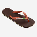 Havaianas Brasil Logo image number null