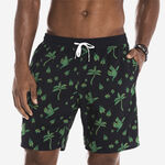 Havaianas Costume Da Bagno Medio Stampa Tucano image number null