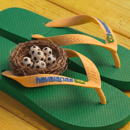 Havaianas Brasil Logo