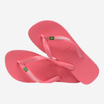Havaianas Brasil Logo image number null