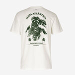 Havaianas Camiseta Mata Atlántica image number null