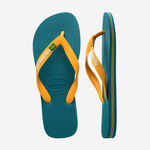 Havaianas Brasil Logo image number null