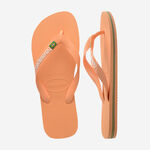 Havaianas Brasil Logo image number null