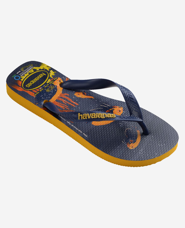 Havaianas Conservation International image number null