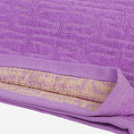 Havaianas Logo Towel image number null