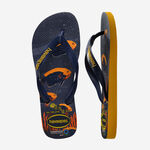 Havaianas Conservation International image number null