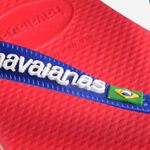 Havaianas Brasil Logo image number null