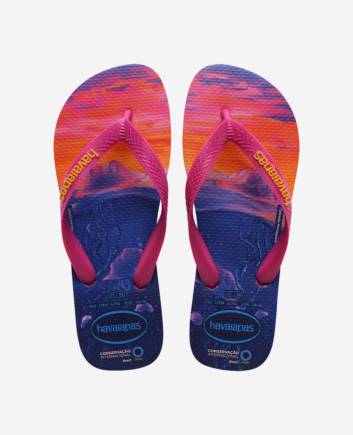 Havaianas conservation clearance