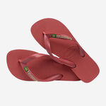 Havaianas Brasil Logo image number null