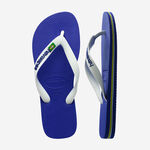Havaianas Brasil Logo image number null