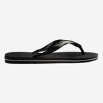 Havaianas Logo Filete image number null