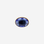 Havaianas Charms Slim Swarovski® Gema I image number null