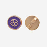 Havaianas Charms Slim Horoscope image number null