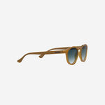 Havaianas Eyewear Cedro Shaded Gri image number null