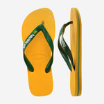 Havaianas Brasil Logo image number null
