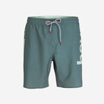 Havaianas Boardshorts Eur Mid New Logomania image number null