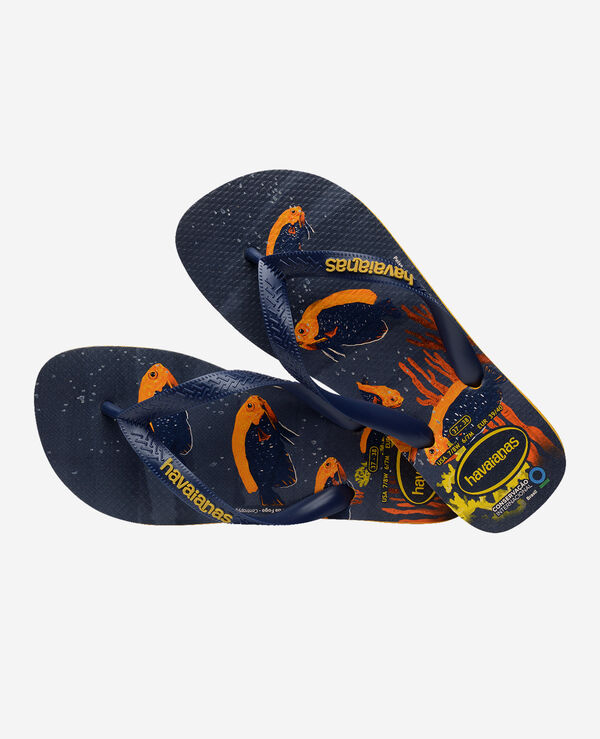 Havaianas Conservation International image number null