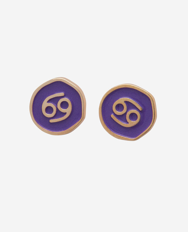 Havaianas Charms Slim Horoscope image number null