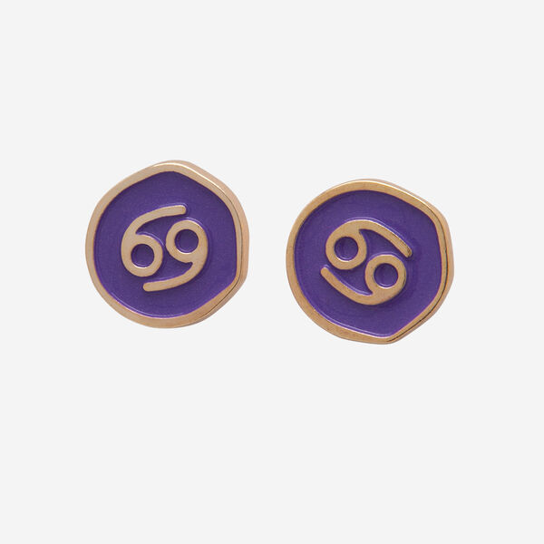 Havaianas Charms Slim Horoscope image number null