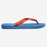 Havaianas Brasil Logo image number null