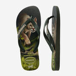 Havaianas Ipe image number null