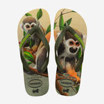 Havaianas Ipe image number null