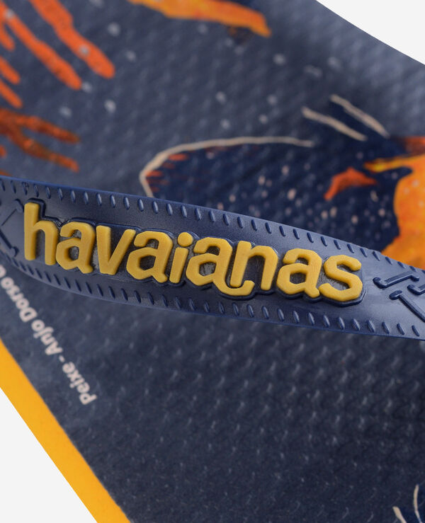 Havaianas Conservation International image number null