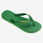 Havaianas Brasil Logo Neon image number null