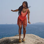 Havaianas Top image number null