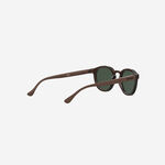Havaianas Eyewear Cedro Solid Gri image number null