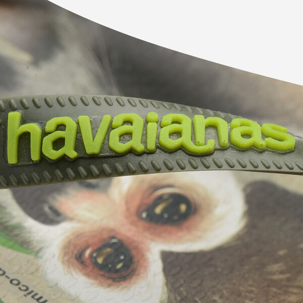 Havaianas Ipe image number null