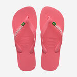 Havaianas Brasil Logo image number null