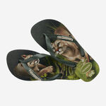 Havaianas Ipe image number null