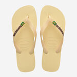 Havaianas Brasil Logo image number null