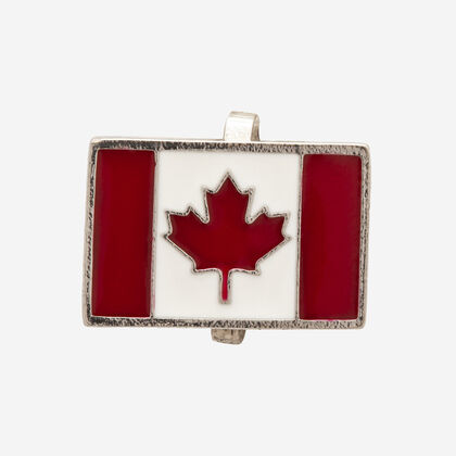 Havaianas Top Charms Flags