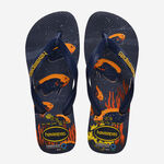 Havaianas Conservation International image number null