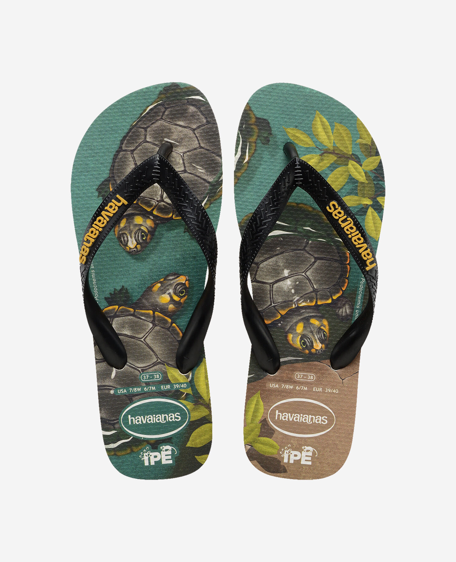 Where can you buy havaianas flip flops cheap