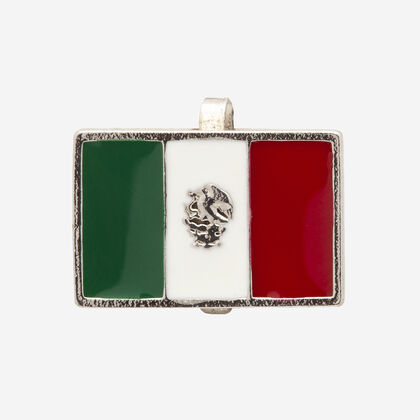 Havaianas Top Charms Flags