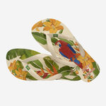 Havaianas Top Farm Arara image number null