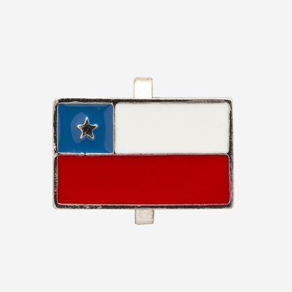 Havaianas Top Charms Flags