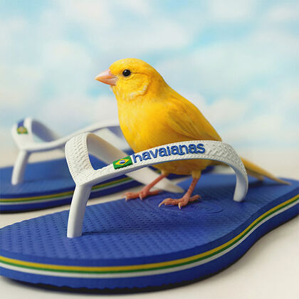 Havaianas Brasil Logo