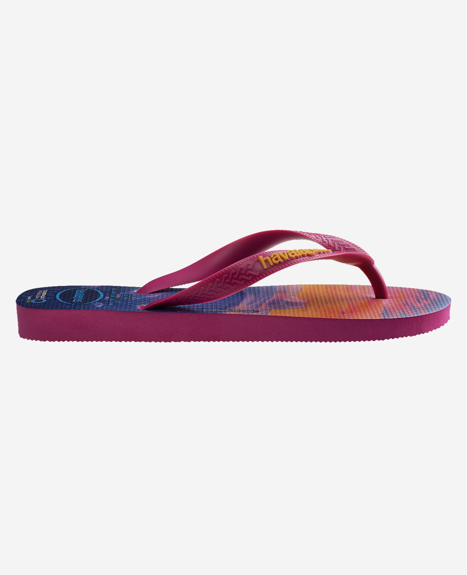 Havaianas conservation international sales