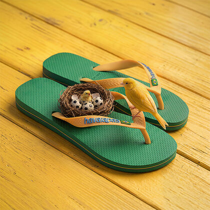 Havaianas Brasil Logo